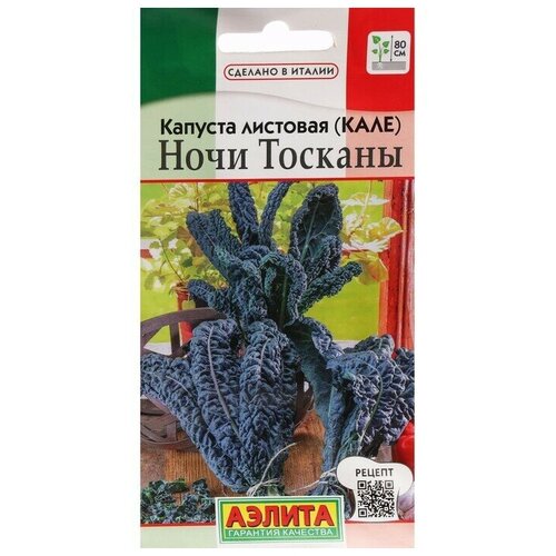 ���� ������ ������� �������� (����) 