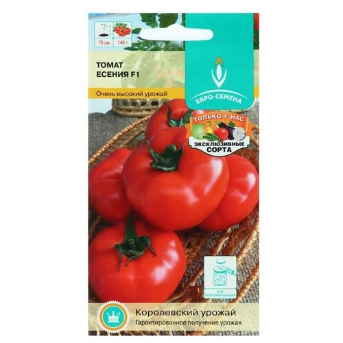 ���� ������ ����-������ ����� ������ F1 10 ��., ������ �� 89 ���