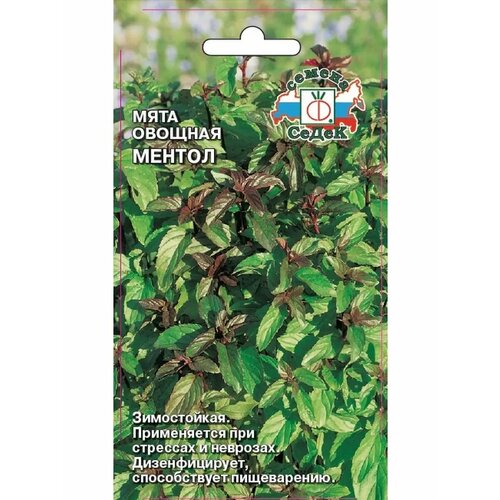 ���� ���� ������� 