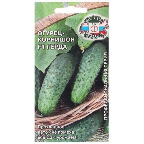 ���� ������ ������� ����� ����� F1 0,3 �, ������ �� 61 ���