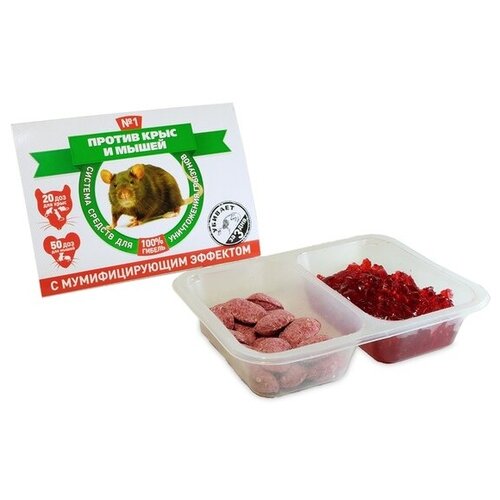 ���� ������� ������� ������ ���� � �����, ������ �� 285 ���