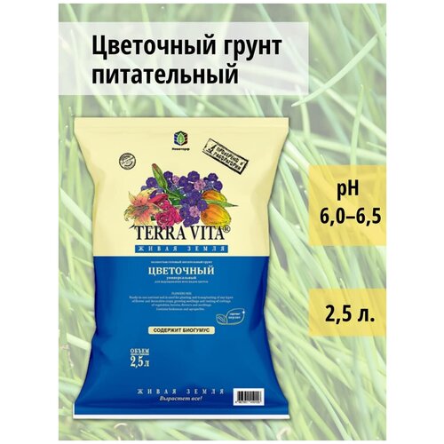 ���� ����� ��������� 