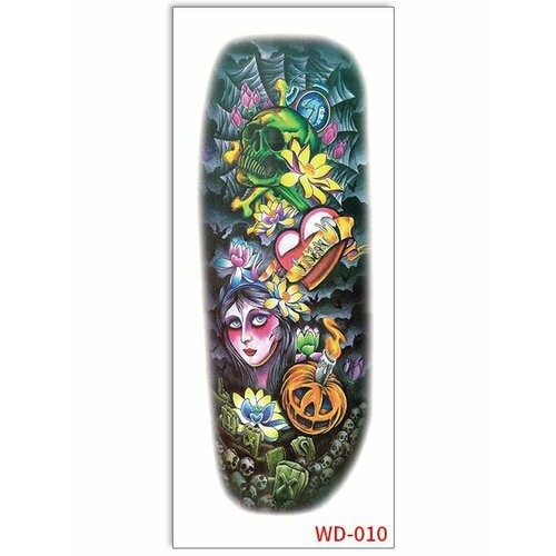 ���� ���������� ��������� ���� ����� �� �������� / 43 � 15 �� ����, ������ �� 560 ���