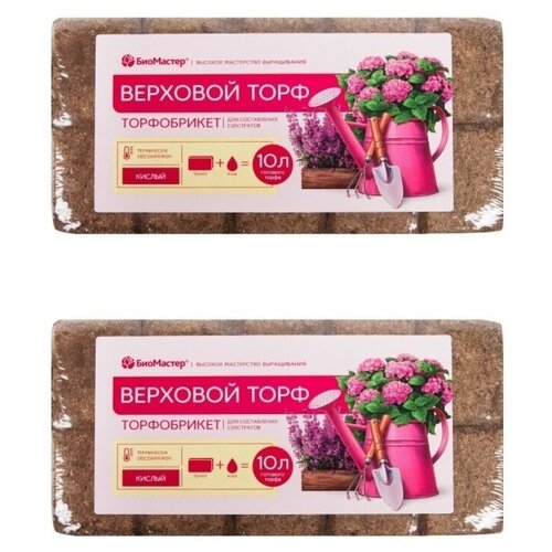 ���� ����������� �������� ���� ������ ���������, 2 �� �� 10 �, ������ �� 598 ���