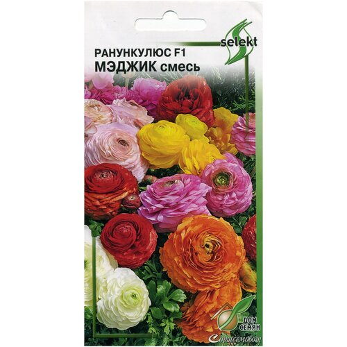 ���� ���������� F1 ������ c����, 3 �����, ������ �� 341 ���