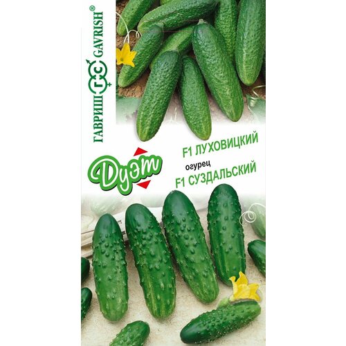       F1+  F1 (1-20.).,   101 