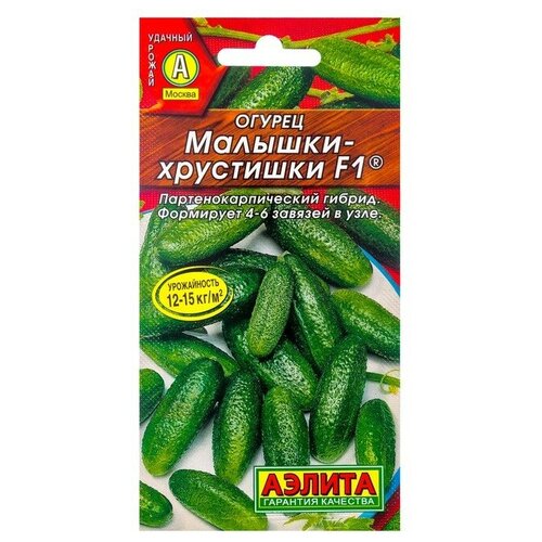 ���� ������ ������ �������-��������� F1 �����������, ������������������ 10��/1, ������ �� 67 ���