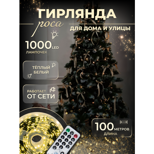 ���� �������� 