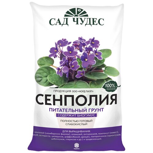 ���� ����������� ����� ��������. ��� �����. 5 �, ������ �� 389 ���