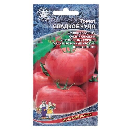 ���� ������ ����� 