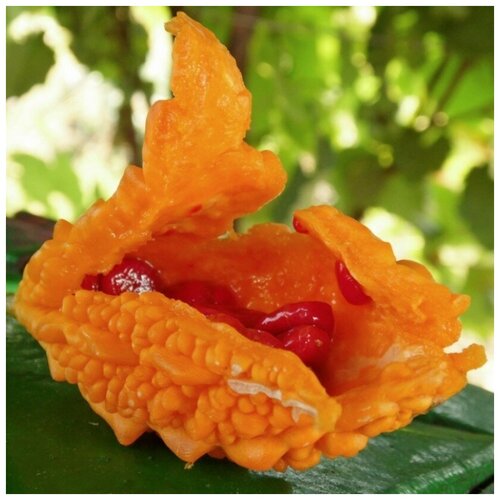 ���� ������ ������ ��������� �������� 5 ��., ������ �� 320 ���