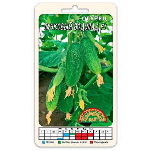 ���� ������ �������� ������� F1 (������ �������� ��� 0,3 �), ������ �� 78 ���