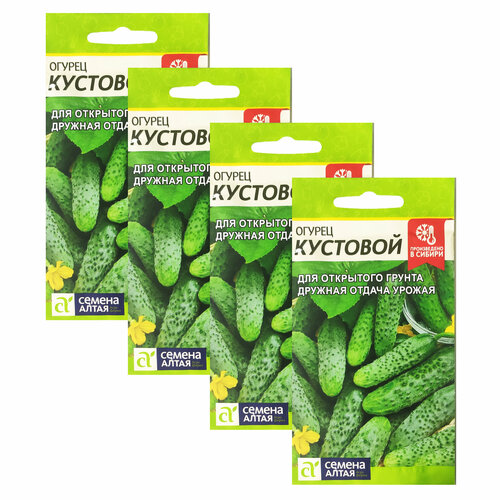 ���� ������ ������ �������� 0,5 � (������ �����) , 4 �������� * 0,5 �, ������ �� 119 ���