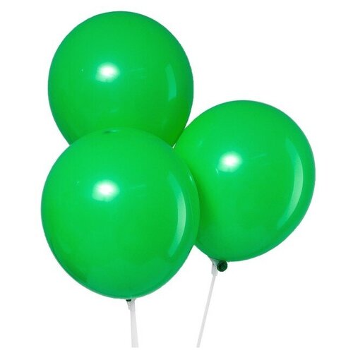 ���� ��� ��������� 12