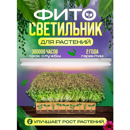 ���� �������������� ��� ��������, ������ �� 680 ���