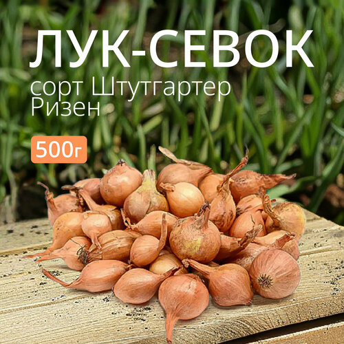 ���� ��� ����� ���������� ����� 0,5 ��., ������ �� 399 ���