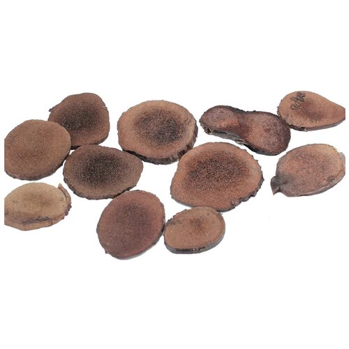 ���� ������� ������� ��������� ������ ������ ������, 30 �, ������ �� 3200 ���