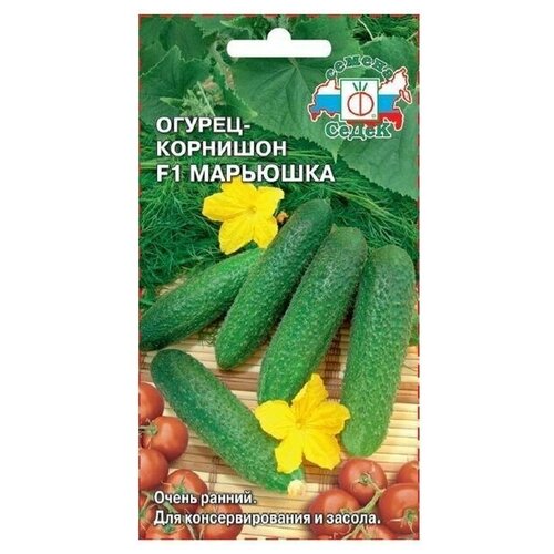 ���� ������ ������� �������� F1 0,3 �, ������ �� 269 ���