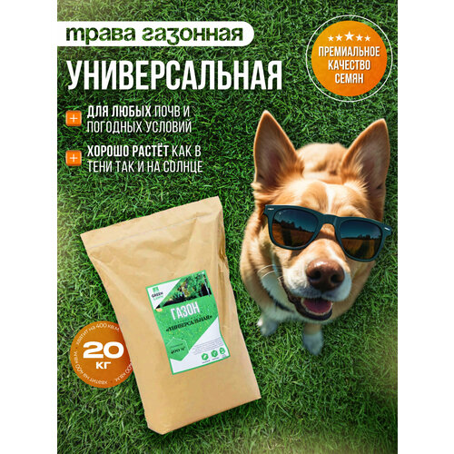 ���� �������� �����, ������, ������������� ����������, 20 ��, ������ �� 8858 ���