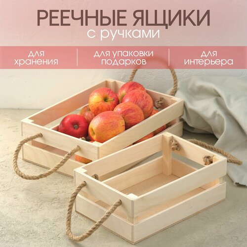 ���� �����: ����� 2� �������� � �������/ ������� ��� �������� / ����� ����������, ������ �� 600 ���