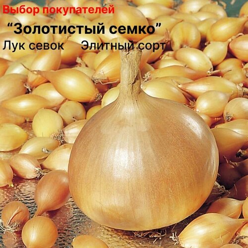 ���� ��� ����� ������ �� ������� 