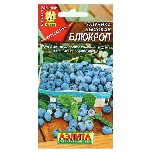 ���� ������ �������� ������� ������� �/�, ������ �� 107 ���