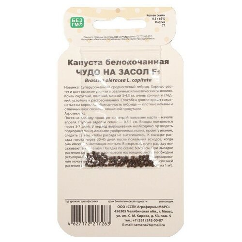 ���� ������ ������� ������������ 