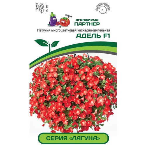 ���� ������ ������� �������������� ��������-��������� 