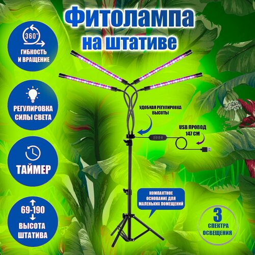 ���� ��������� ��� �������� � ������� �� ������� ������� ������� 4 �����/ ��� ��������� ������� � ���������, ������ �� 2600 ���