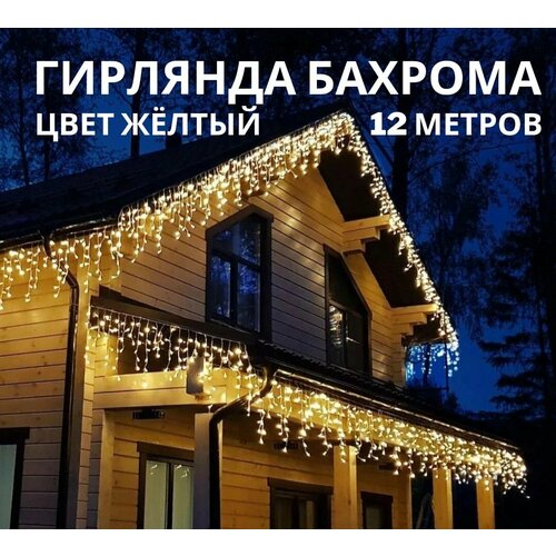 ���� ��������������� / �������� ������� �������, 12 ������, ���� ������, ������ �� 1245 ���