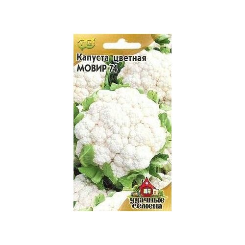 ���� ������. ������� ������� 