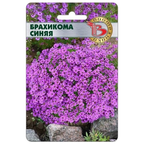 ���� ����� ��������� ����� (������ ���������� 200��), ������ �� 360 ���