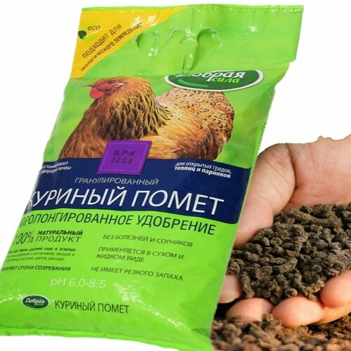 ���� ������������ ��������� ������ ���� ������� ����� ���������������, 5 ��, ������ �� 814 ���