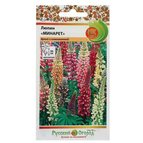 ���� ������. �����. ����� 