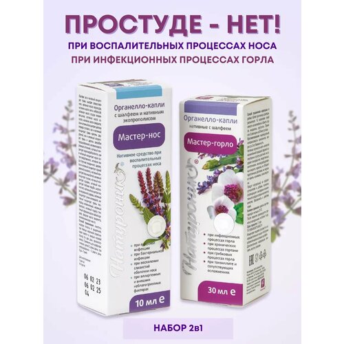 ���� ������-���/ʫ��������� ������-����� ����� � ������-��� ����� � �������, ������ �� 650 ���