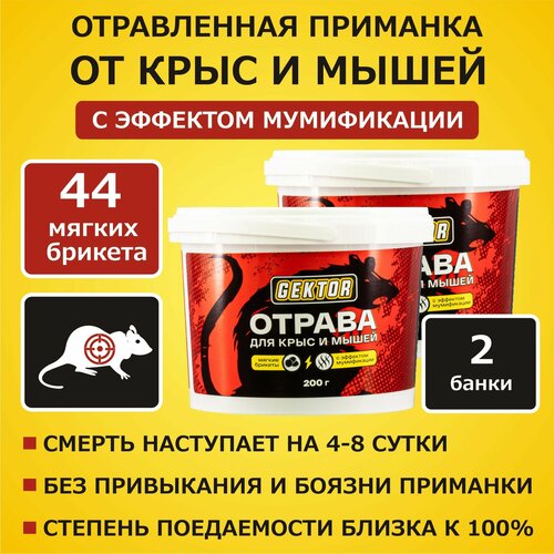 ���� Gektor (������) �������� ��� ����������� ��������, ����, �����, ������� � �������� 200 ��, ������ �� 852 ���