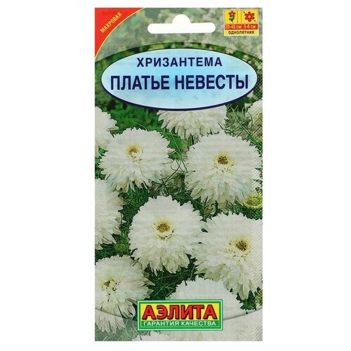 ���� ������ ������ ���������� �������� 