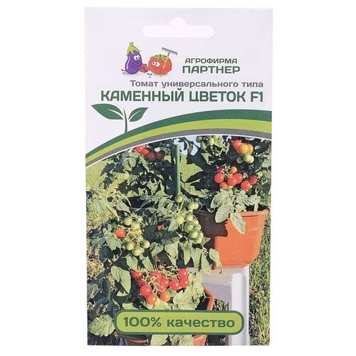 ���� ������ ������ 