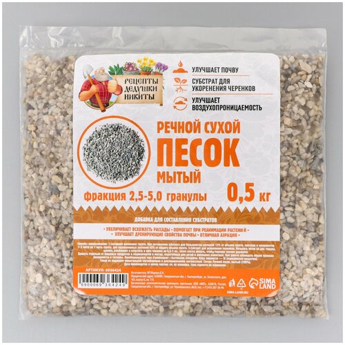 ���� ������ ����� 