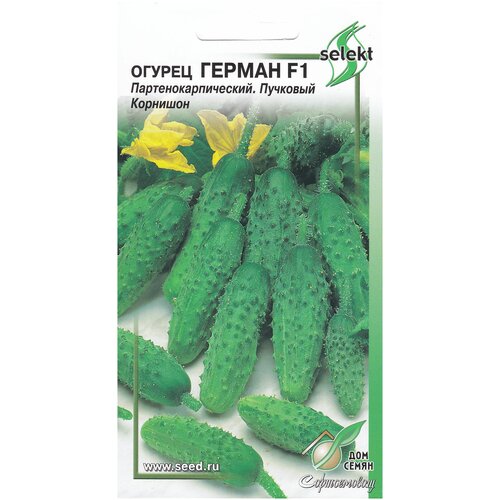 ���� ������ ������ F1, 6 �����, ������ �� 289 ���