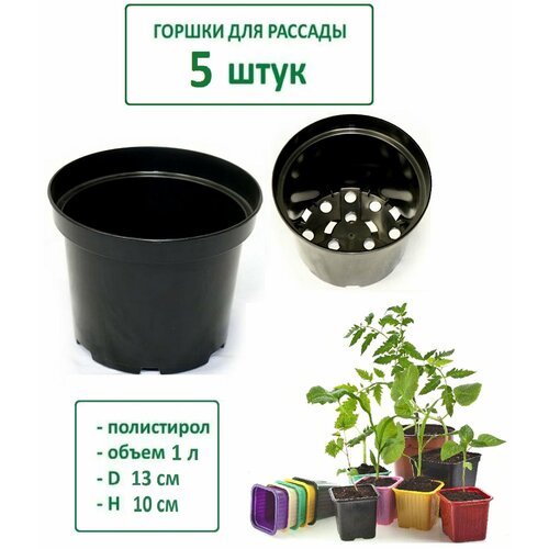 ���� ������ ��� ������� - 5 ��, 1 �, ������� 13 ��, ������ 10 ��, ������ �� 488 ���