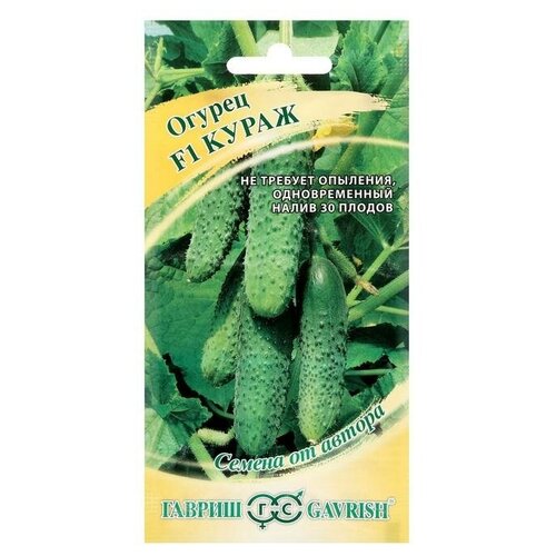 ���� ������. ������ ������������������ 