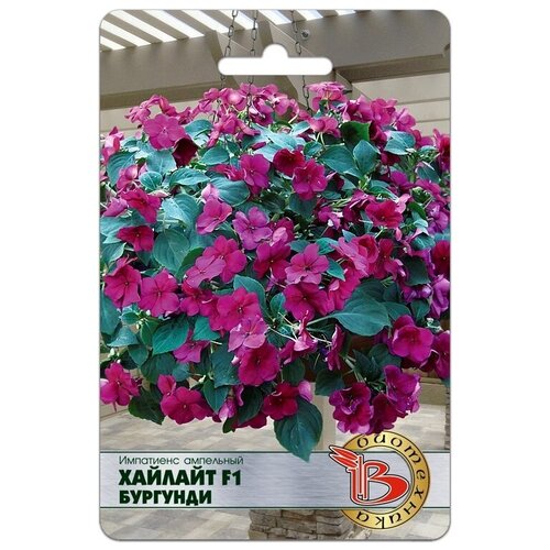 ���� ������ ���������� ���������� 