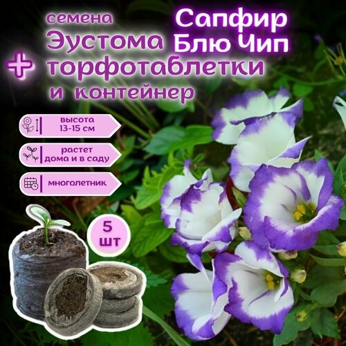 ���� ������ ������� ����������� ����������� ������ ��� ���, ��������� ��������� + �������� �������� Jiffy � �������, 5��, ������ �� 369 ���