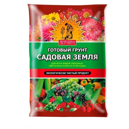 ���� ����� 