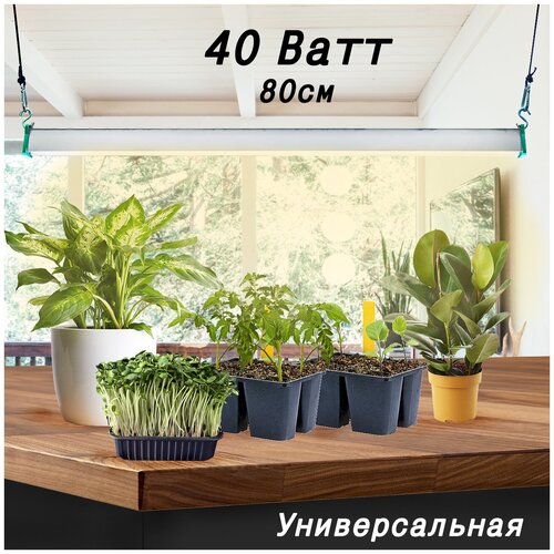         MiniFermer   Samsung 4000+660nm / Led   , , , 40 80,   5410 