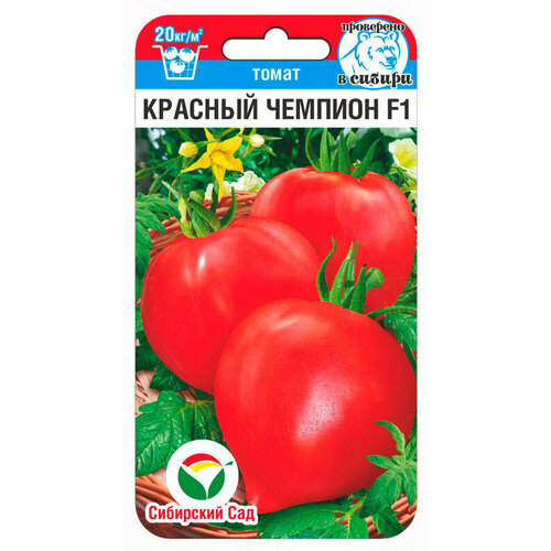 ���� ������ ����� ������� ������� F1 15�� ����� ������ (��������� ���), ������ �� 58 ���