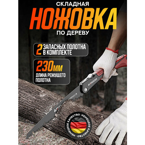 ���� ������� ��������, ����� ������ 23 ��, ���� ��� ���� � �������, ������ �� 1592 ���