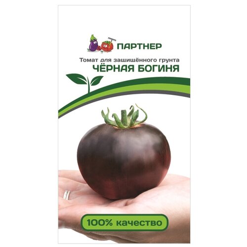 ���� ����� ������ ������, ������ �� 290 ���