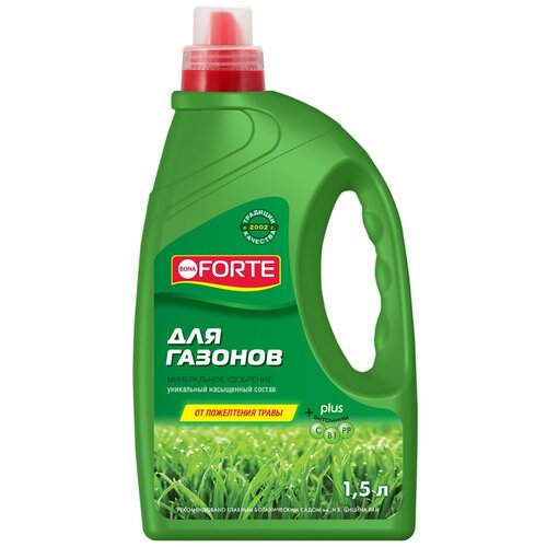 ���� ��������� BONA FORTE ��� �������, 1.5 �, 1960 �, 1 ��., ������ �� 810 ���